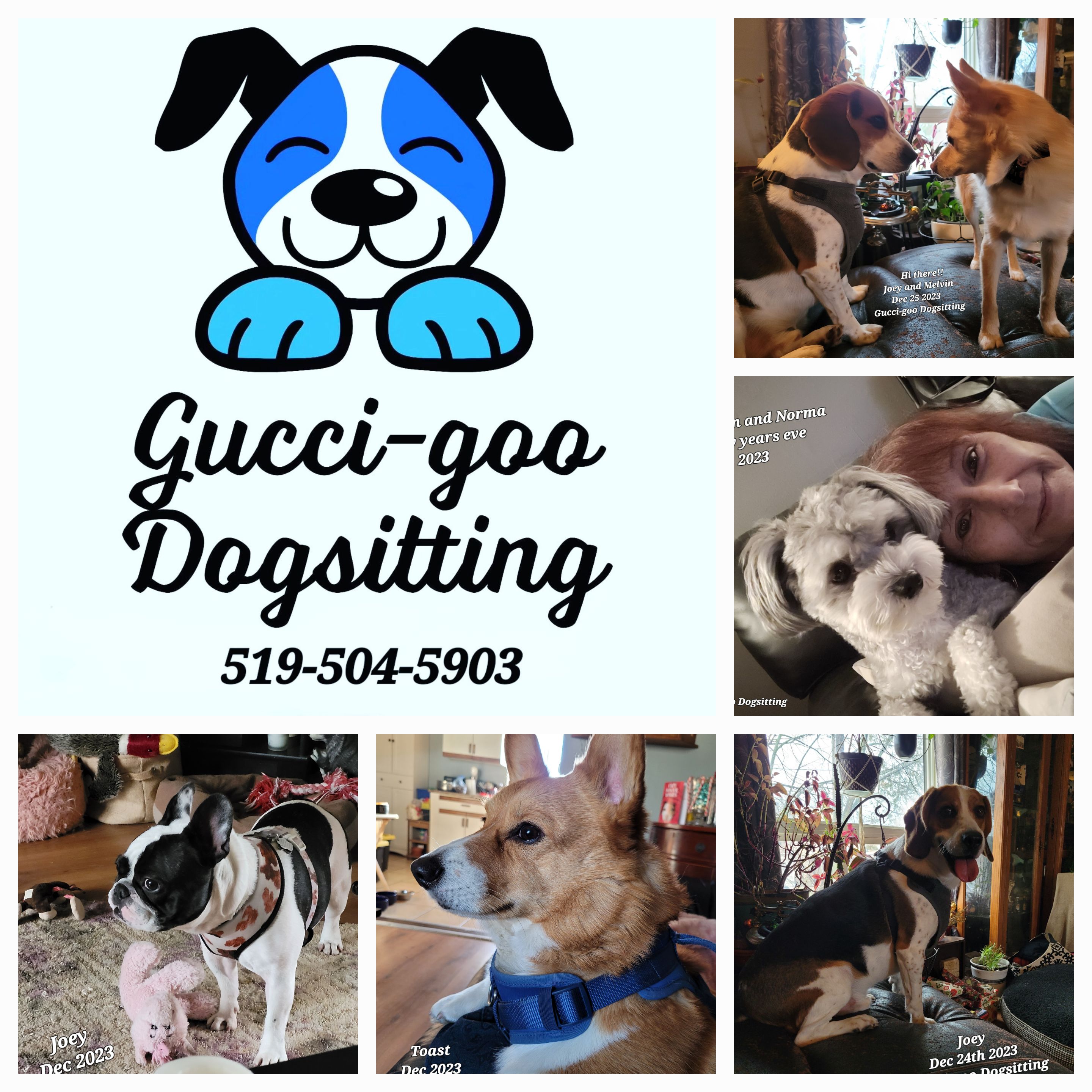 Norma — Gucci Goo Dogsitting