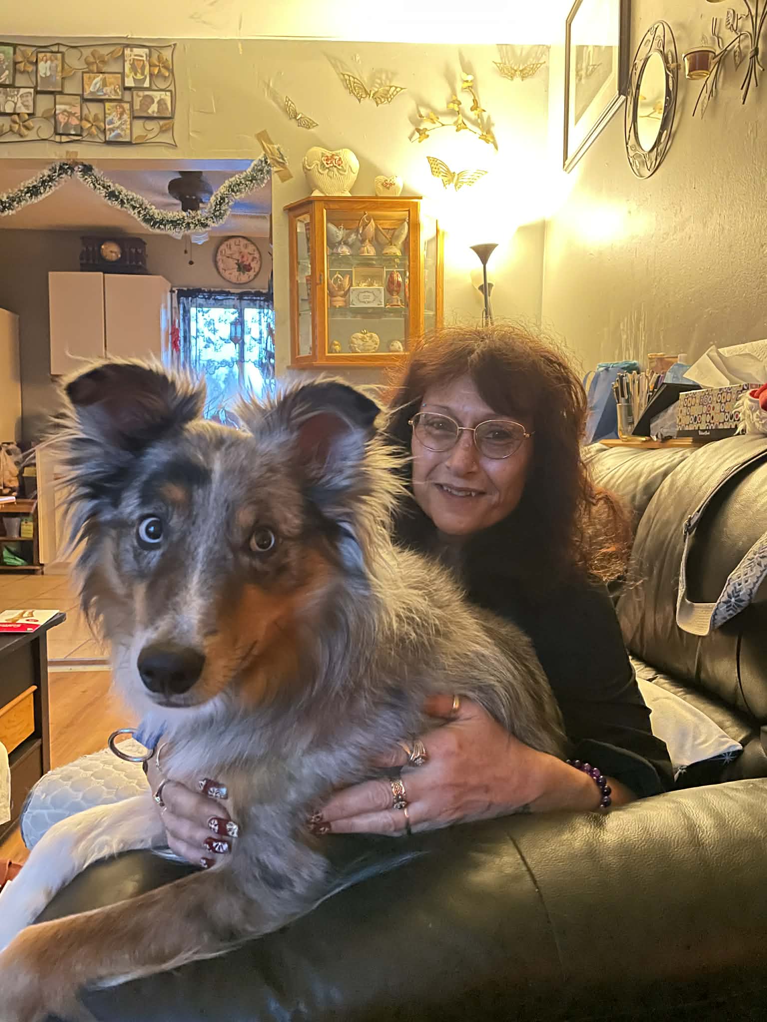 Dog cared for by Gucci Goo